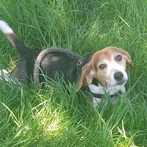 Meet your Posher, Julie